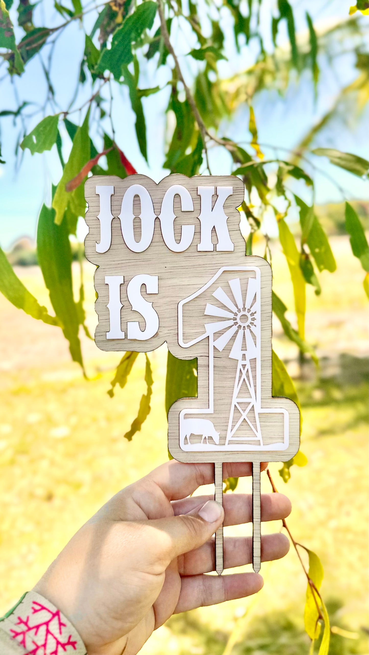 FARMHOUSE Cake Topper | NAME - IS - NUMBER