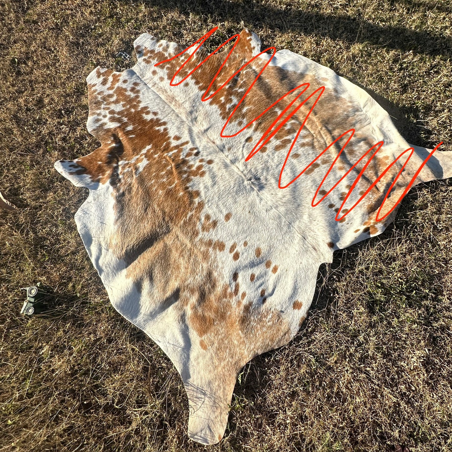 Engraved Half Cowhide Wedding Sign
