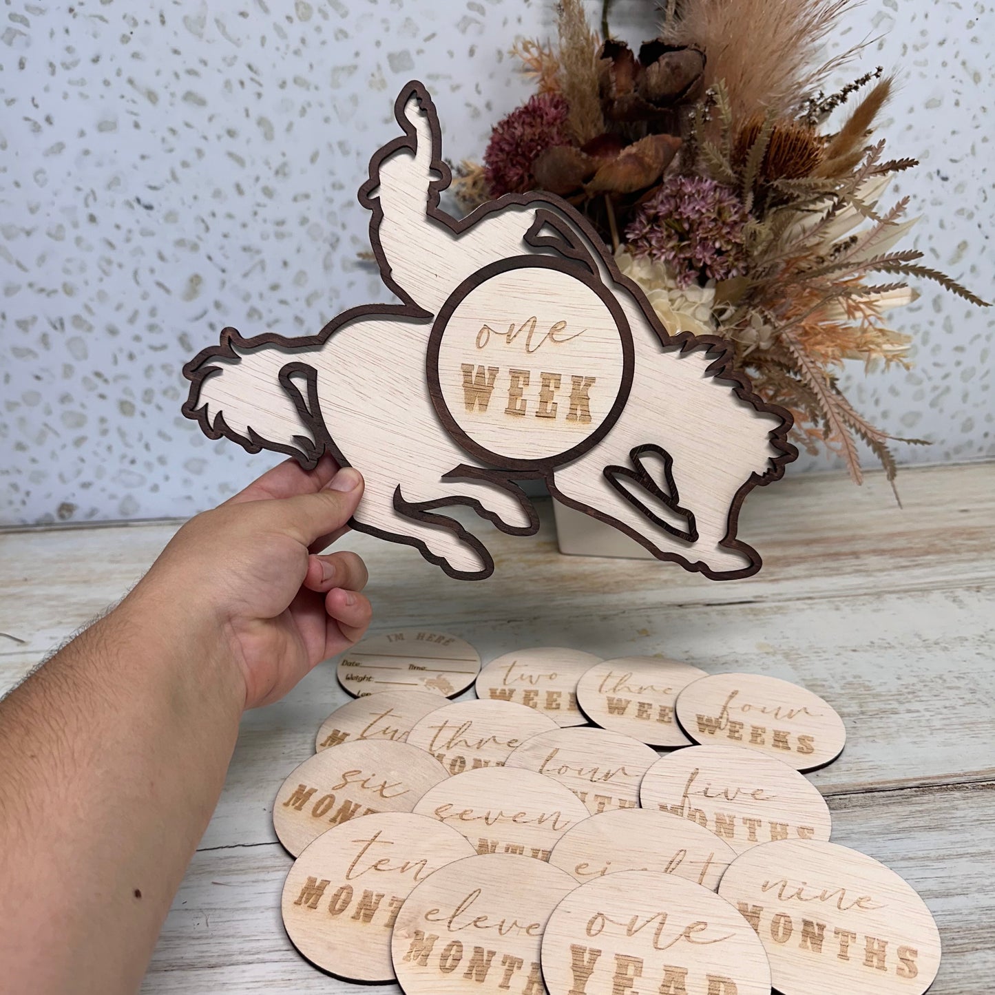 Bronc Rider - Milestone Set