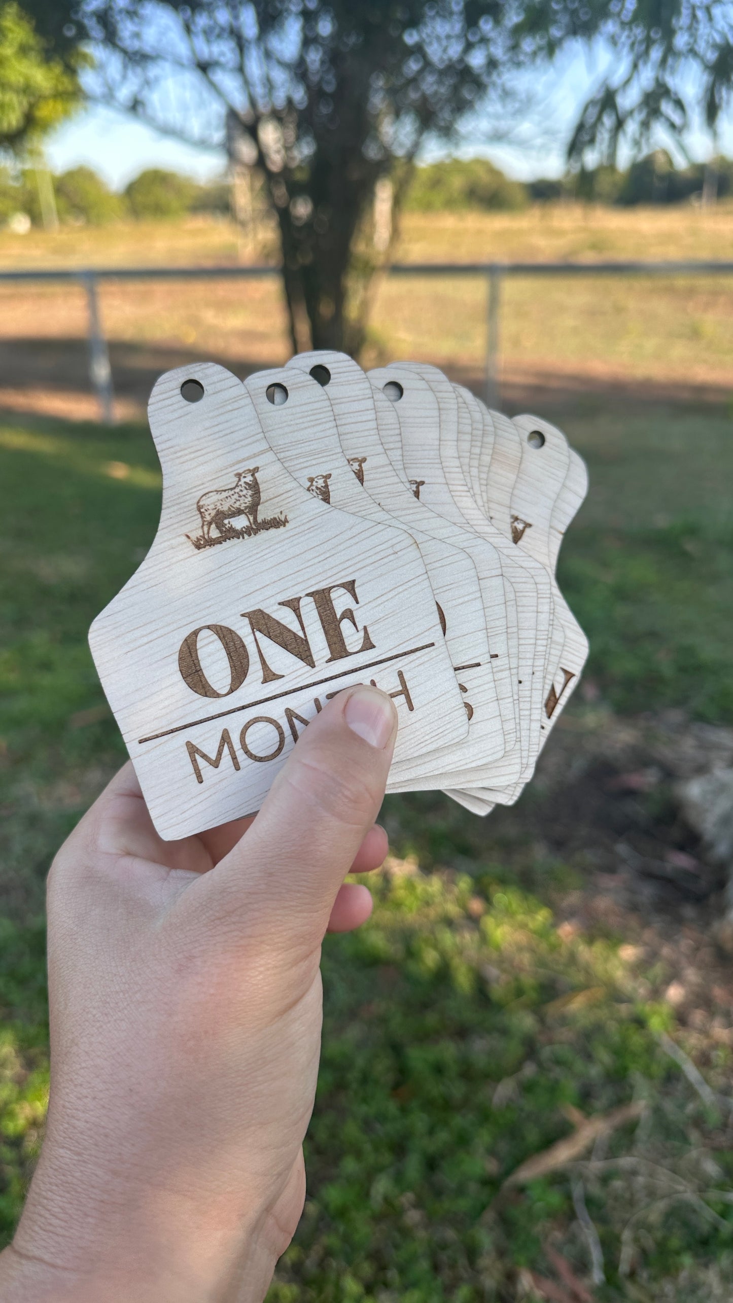 Sheep tag - Birth & Milestone Set