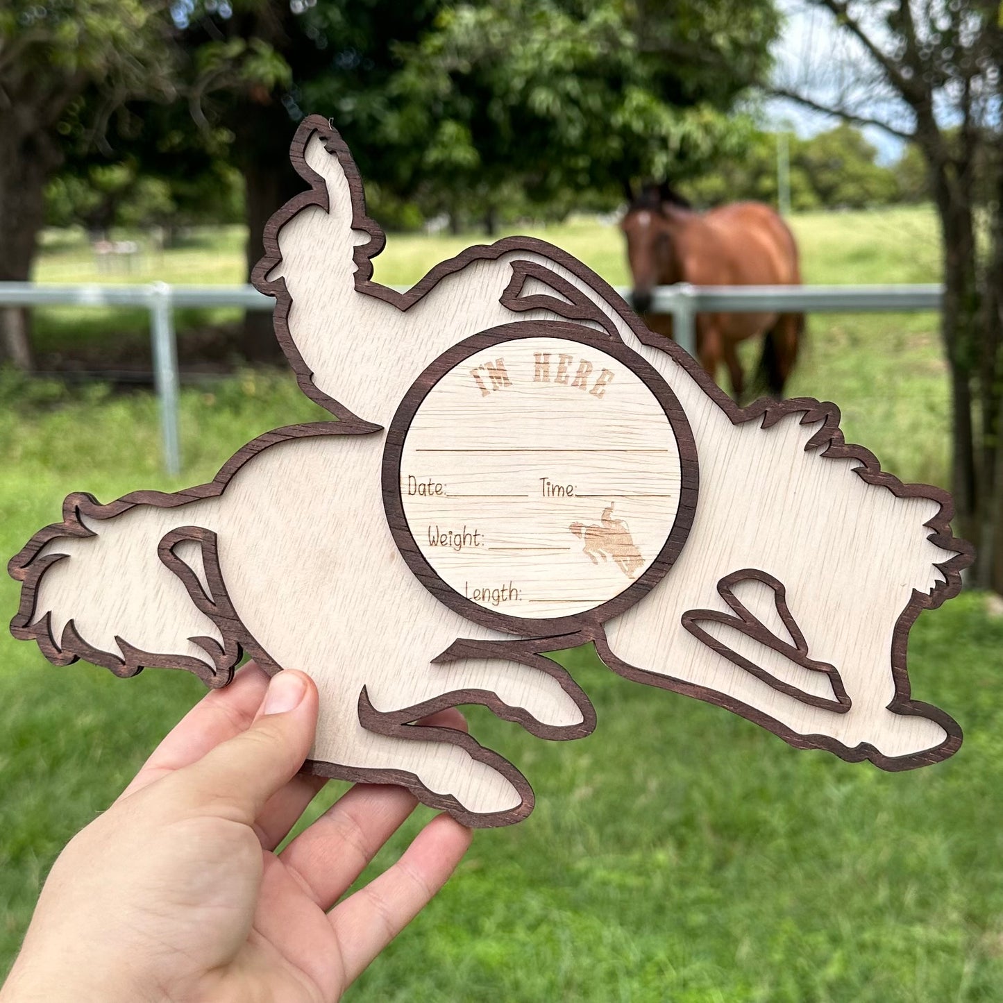 Bronc Rider - Milestone Set