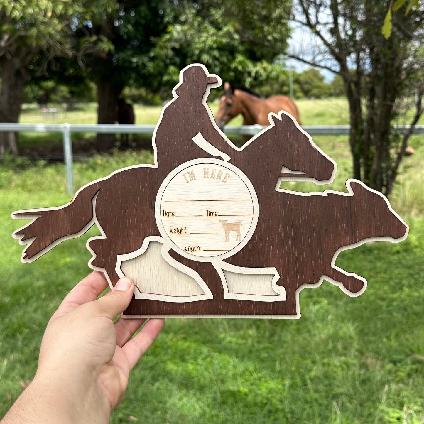 Campdraft - Milestone Set