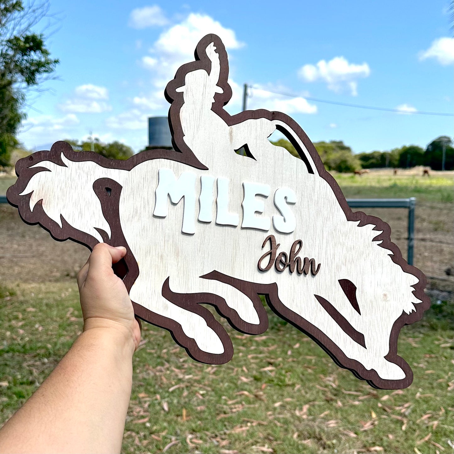 BRONC RIDER - personalised sign