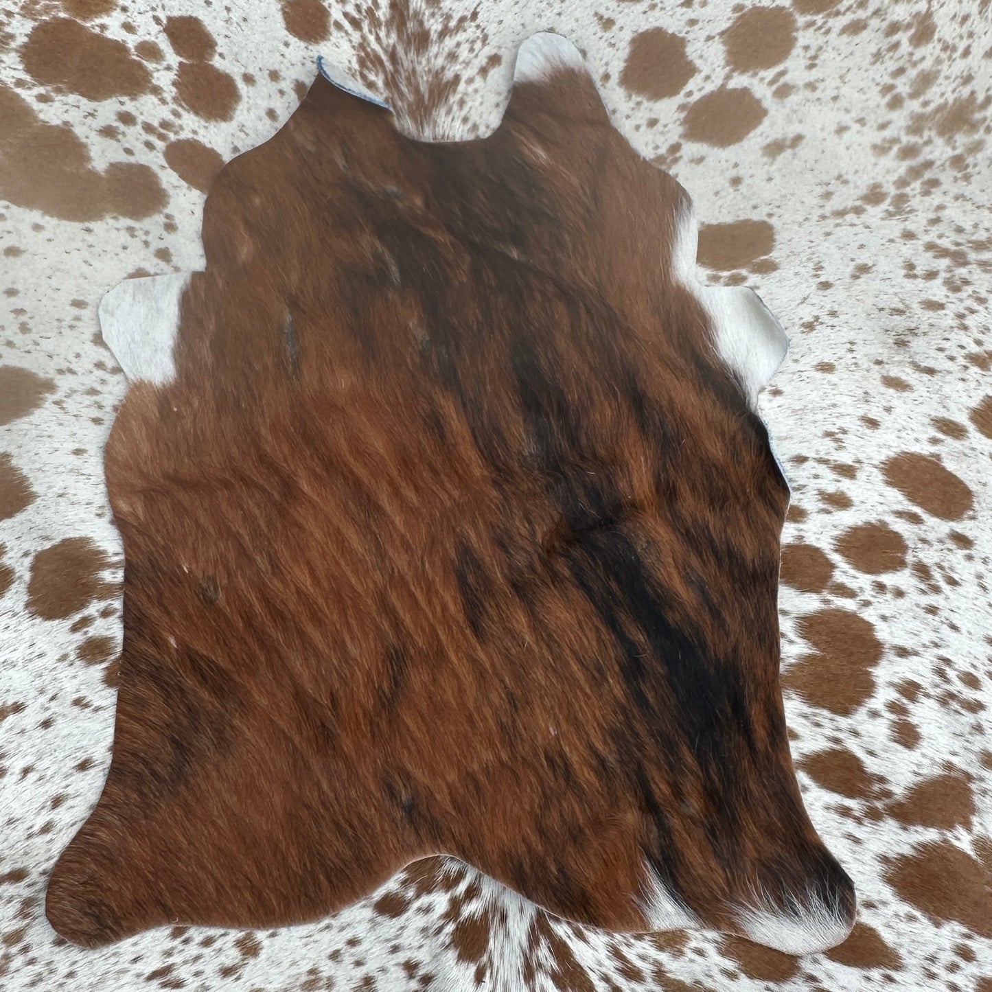 Mini cowhides - design 2