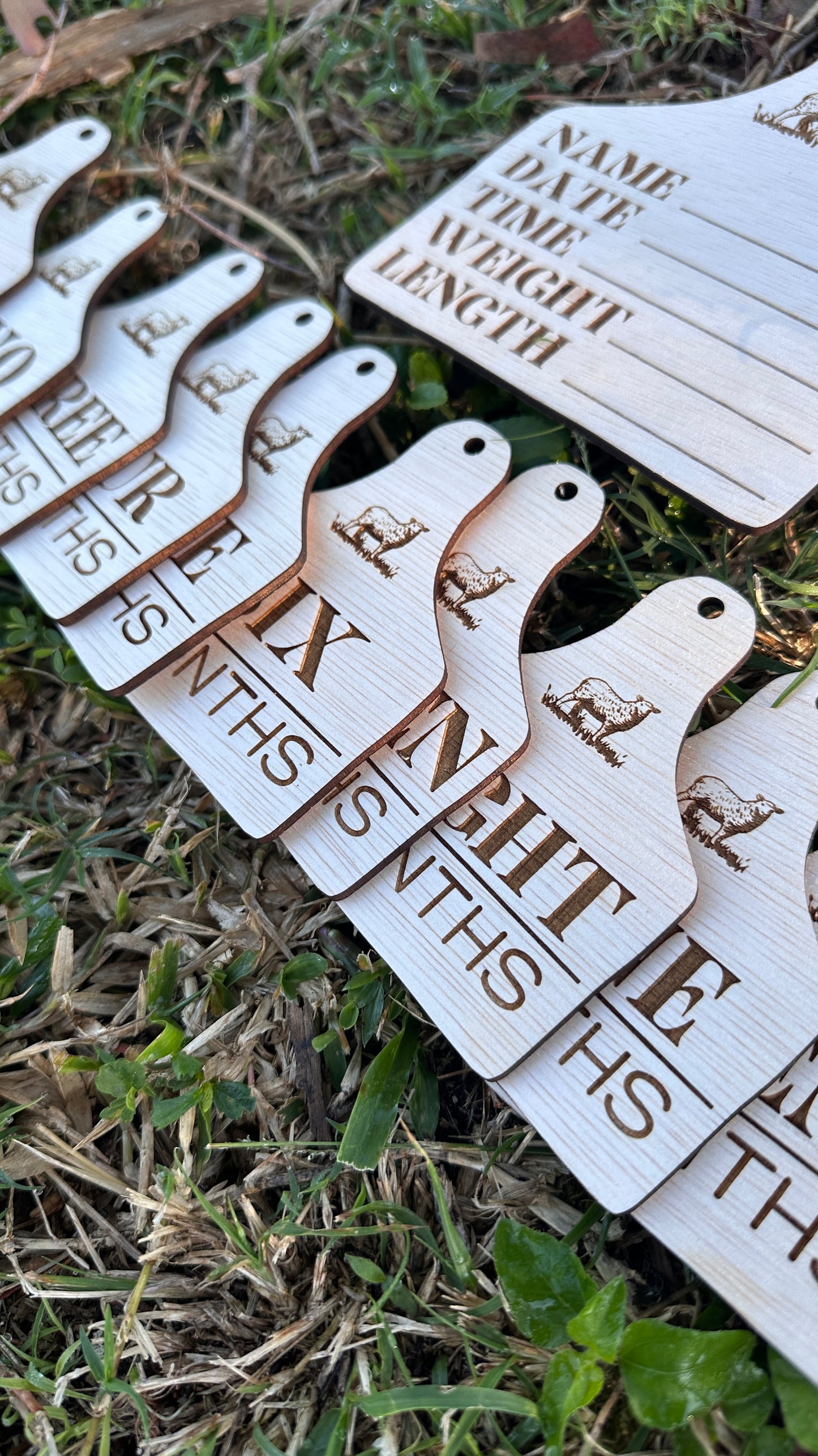 Sheep tag - Birth & Milestone Set