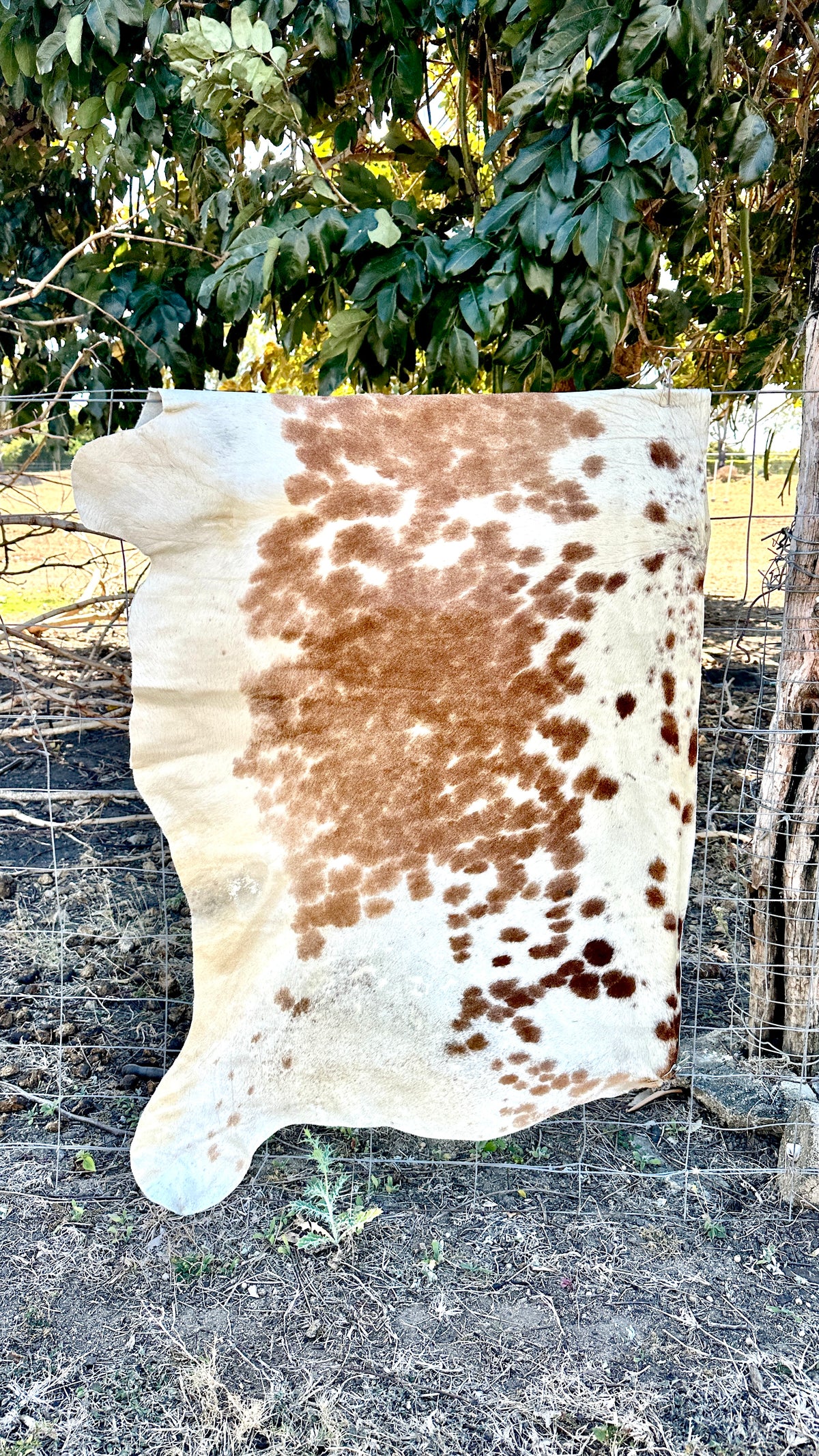 Engraved Half Cowhide Wedding Sign