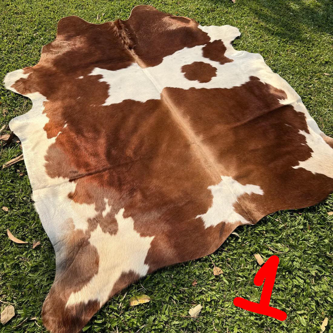 Brown and white cowhide rug on grass