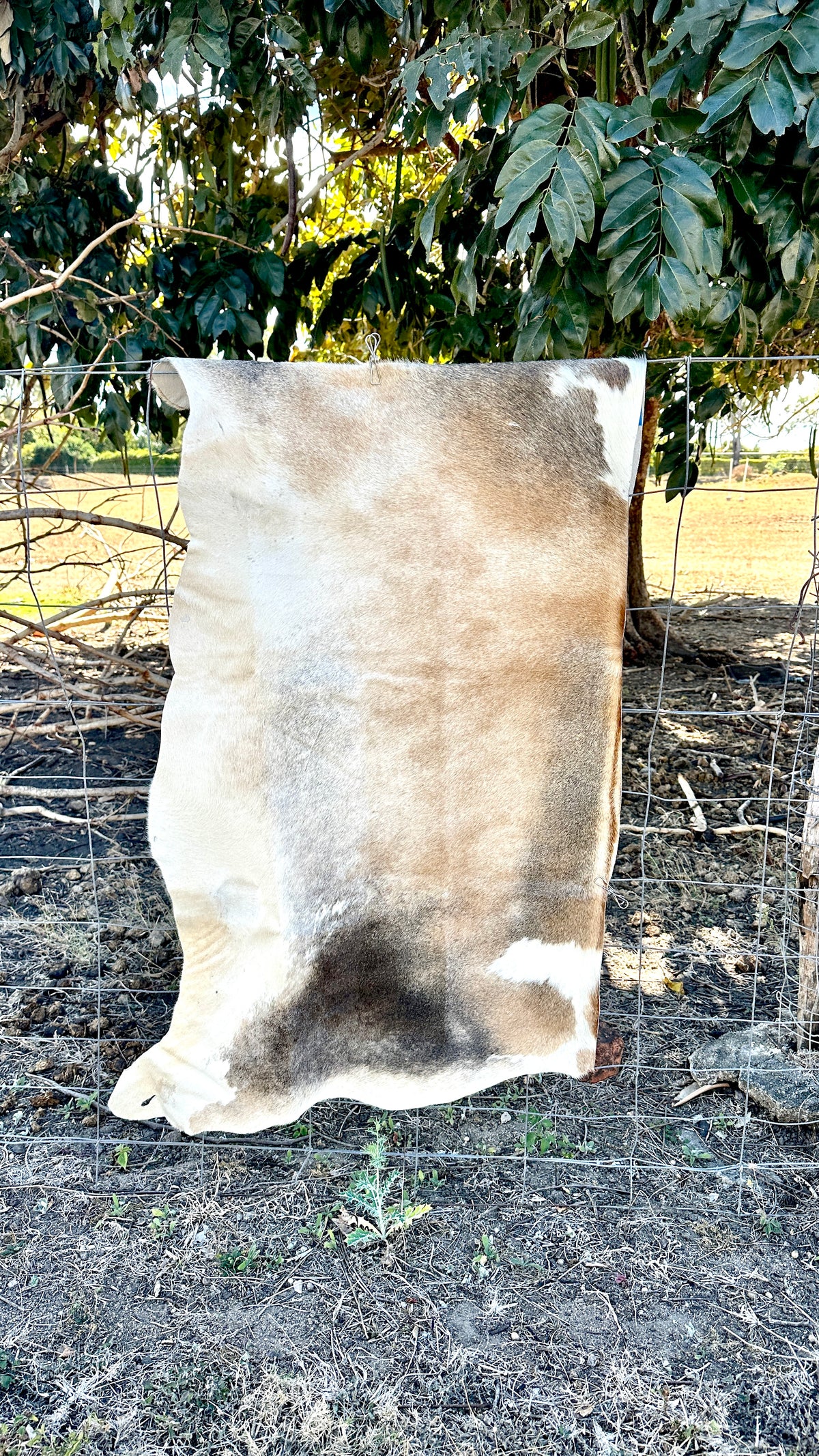 Engraved Half Cowhide Wedding Sign