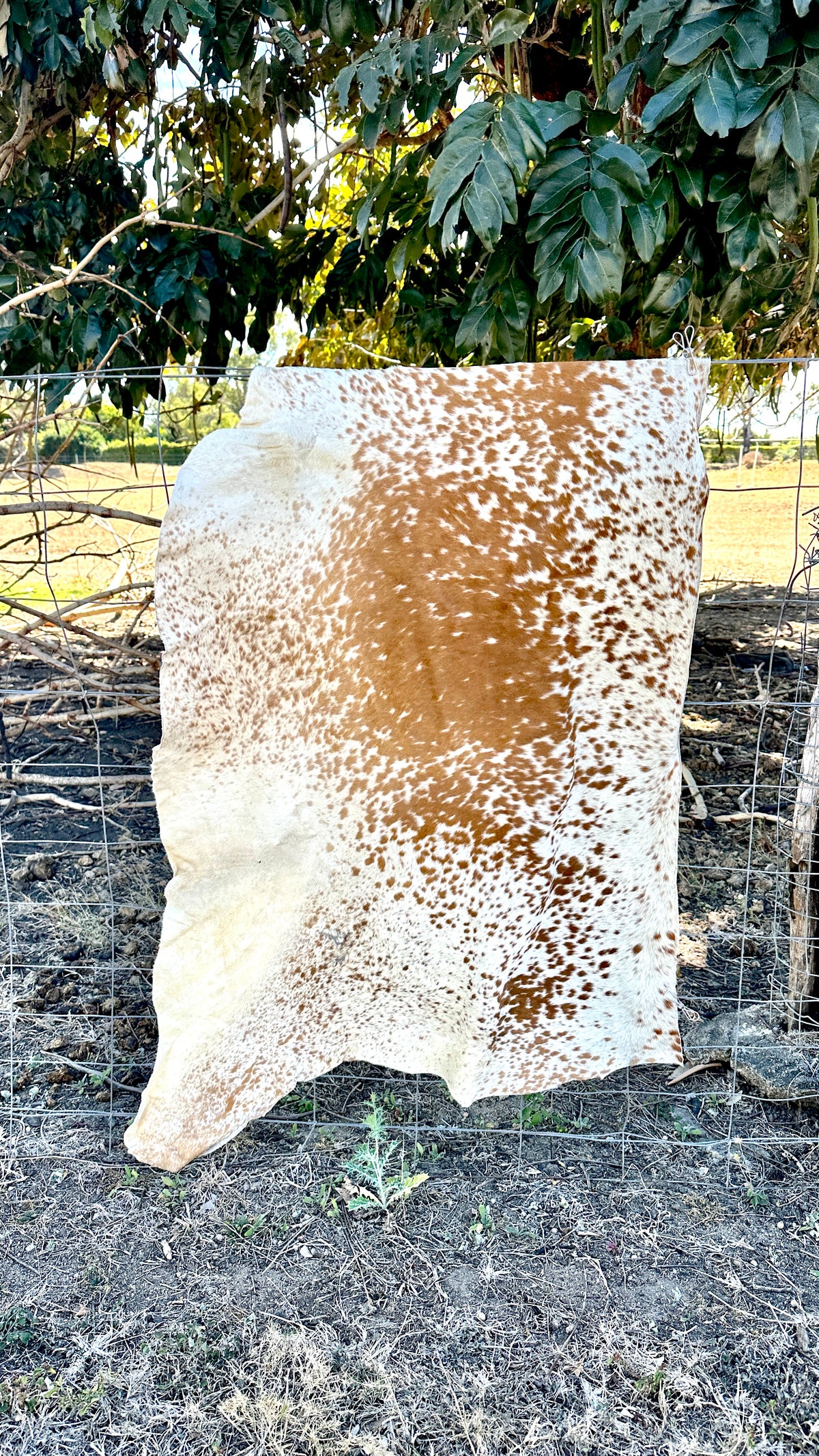 Engraved Half Cowhide Wedding Sign