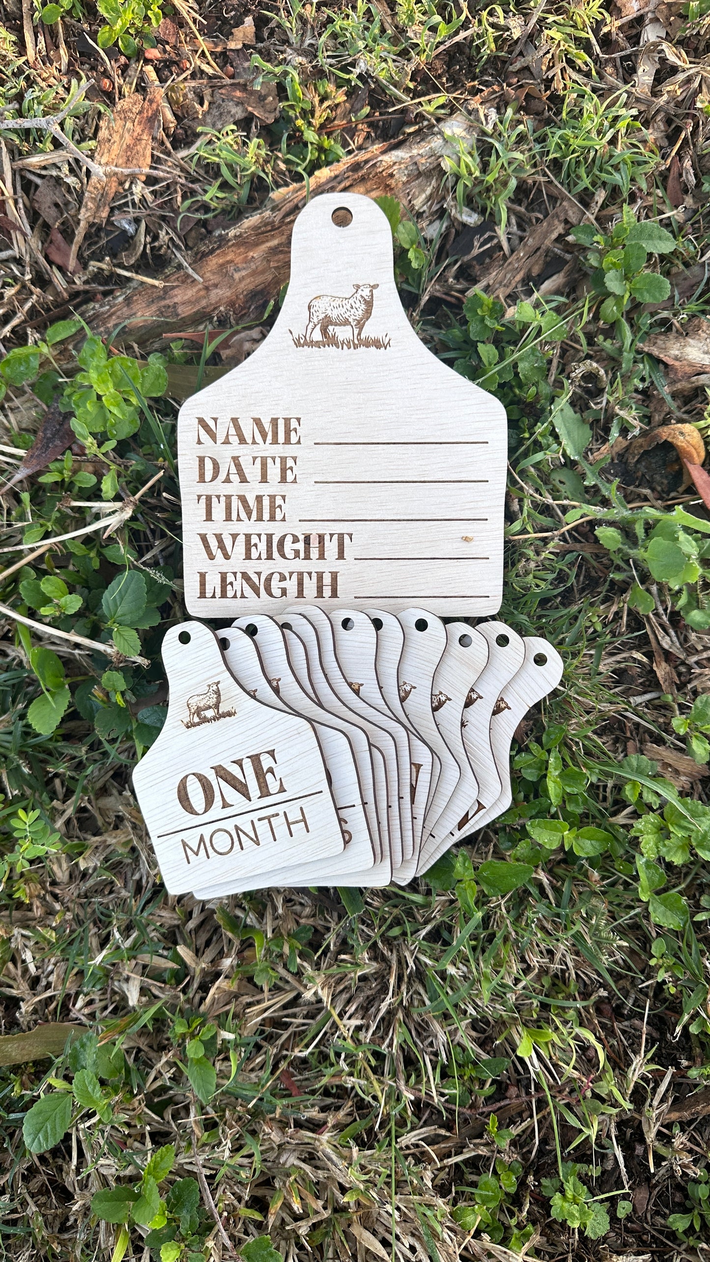 Sheep tag - Birth & Milestone Set