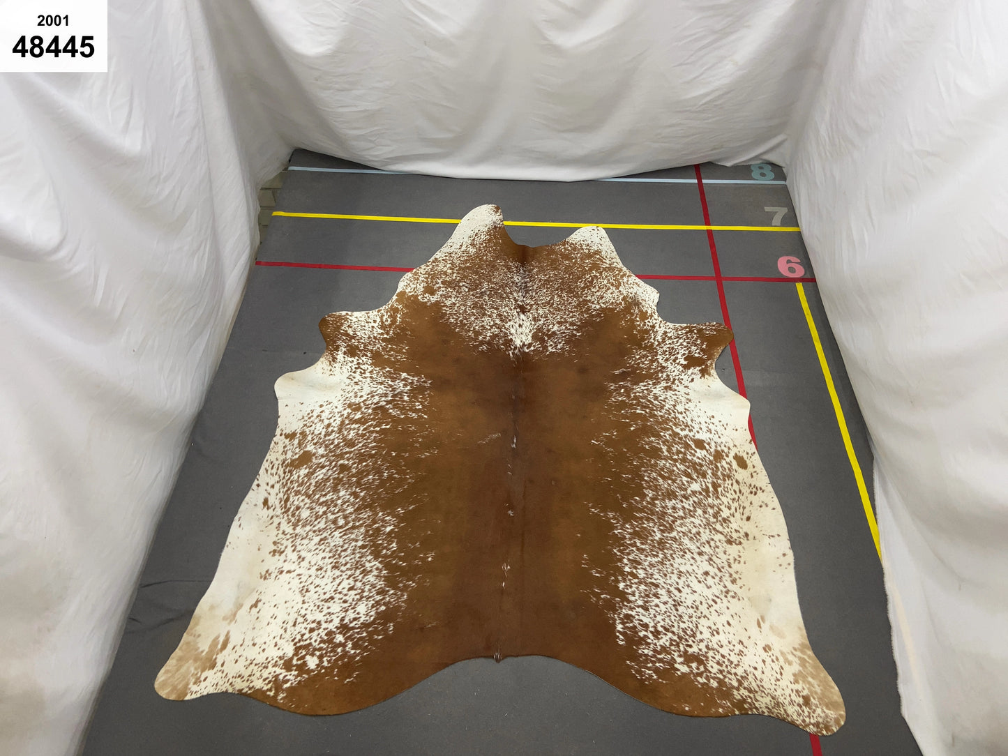 Full Cowhide – In Stock (Ready to Personalise)