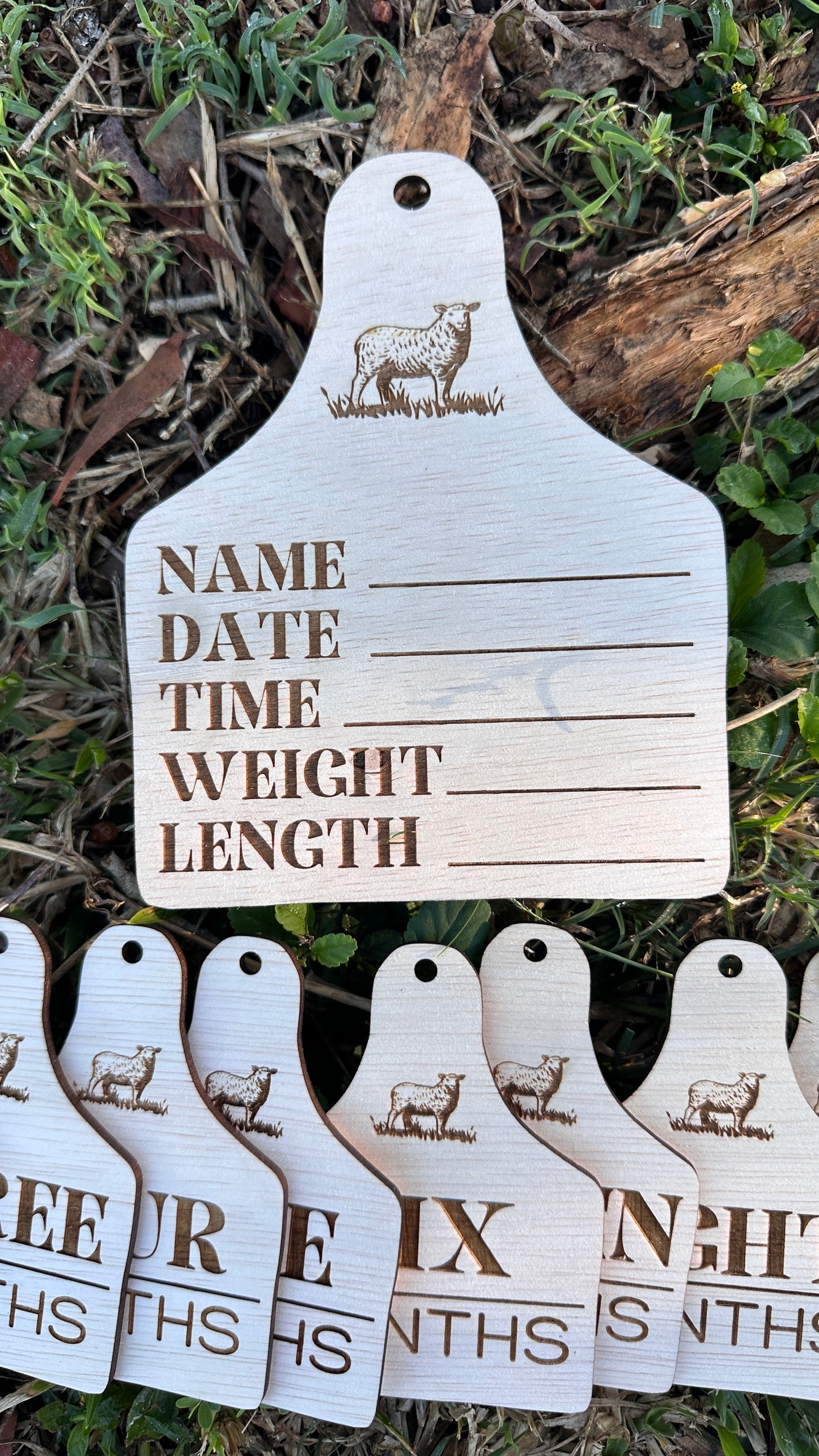 Sheep tag - Birth & Milestone Set