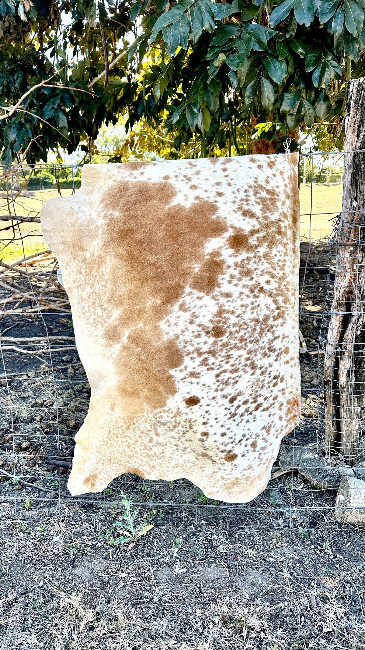 Engraved Half Cowhide Wedding Sign