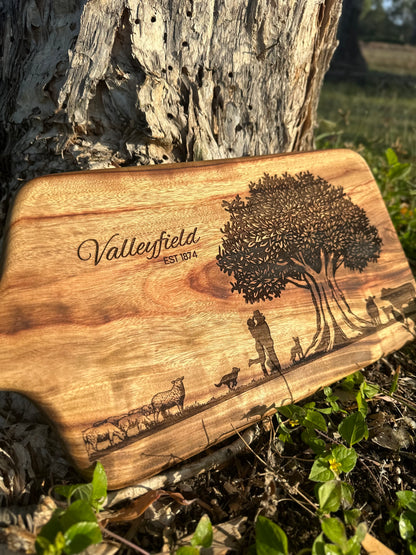 Paddle Board - Dried Camphor Laurel