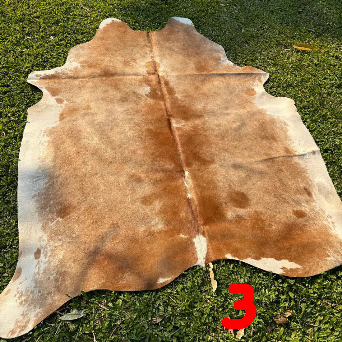 Full Cowhide – In Stock (Ready to Personalise)