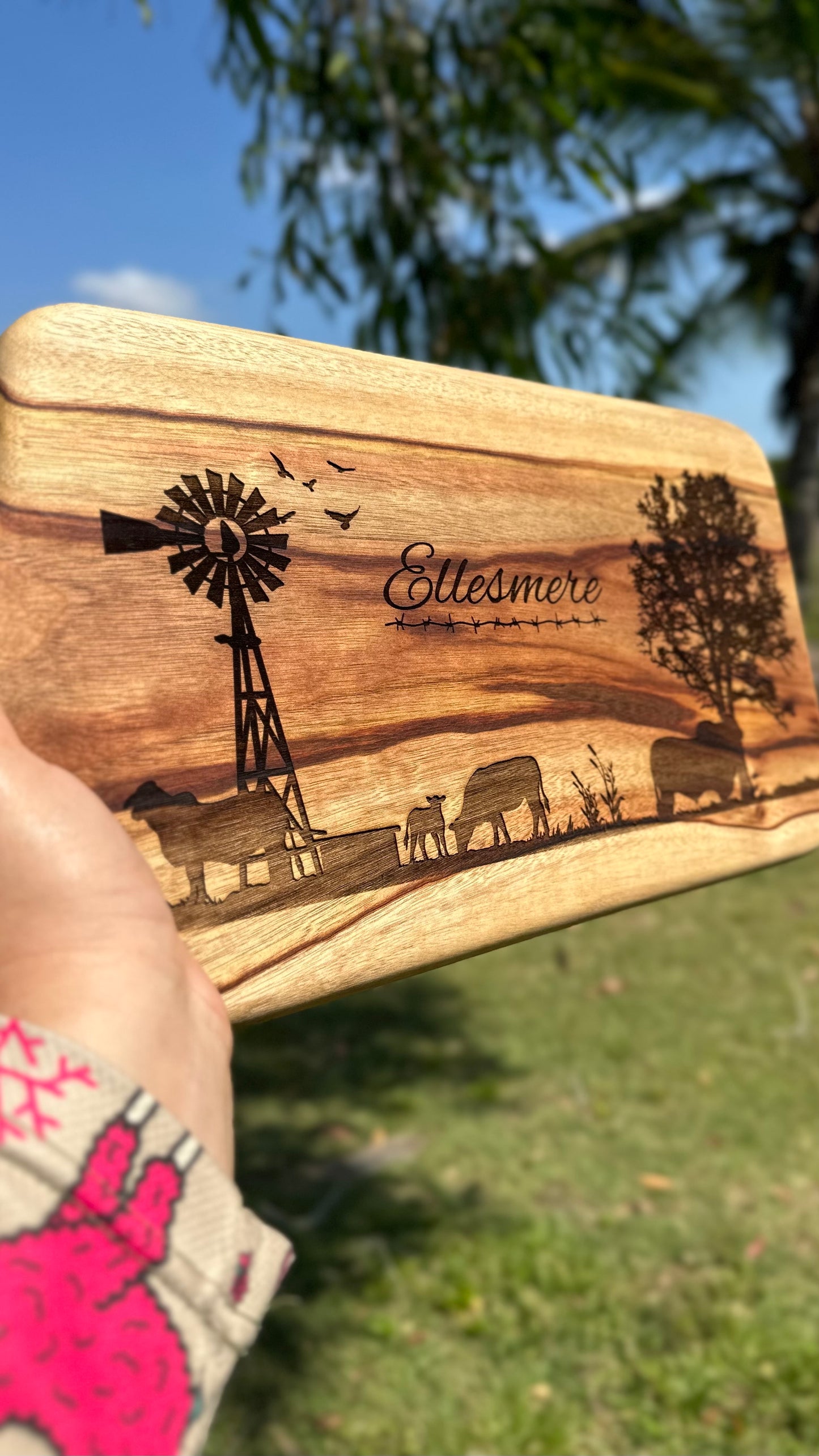 Paddle Board - Dried Camphor Laurel