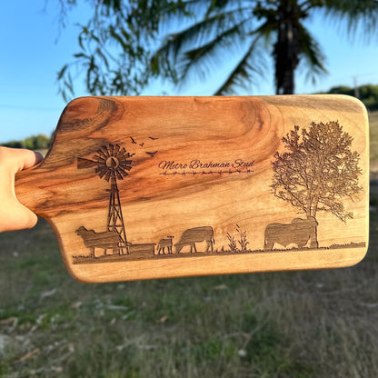 Paddle Board - Dried Camphor Laurel