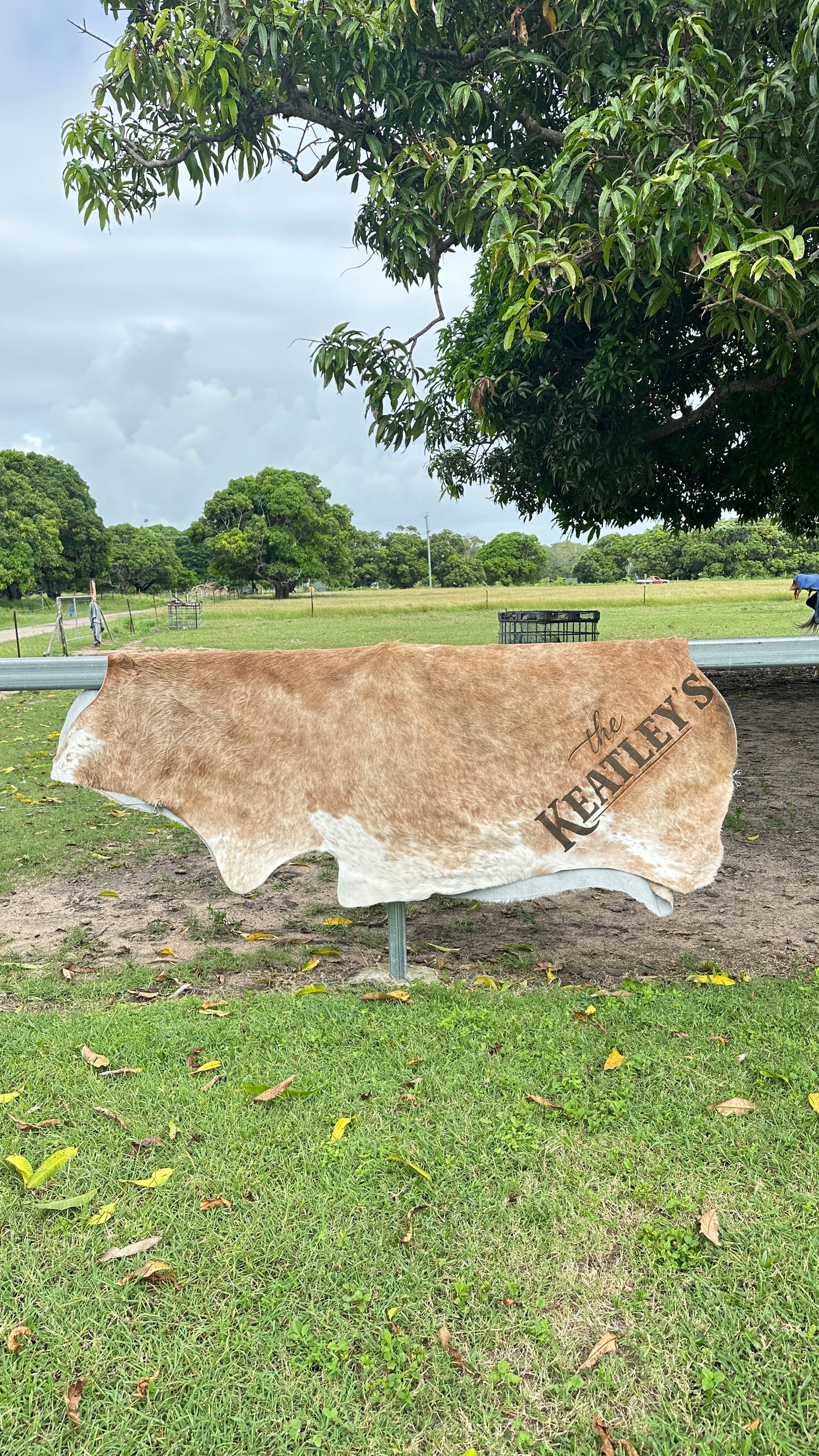 Full Cowhide – In Stock (Ready to Personalise)