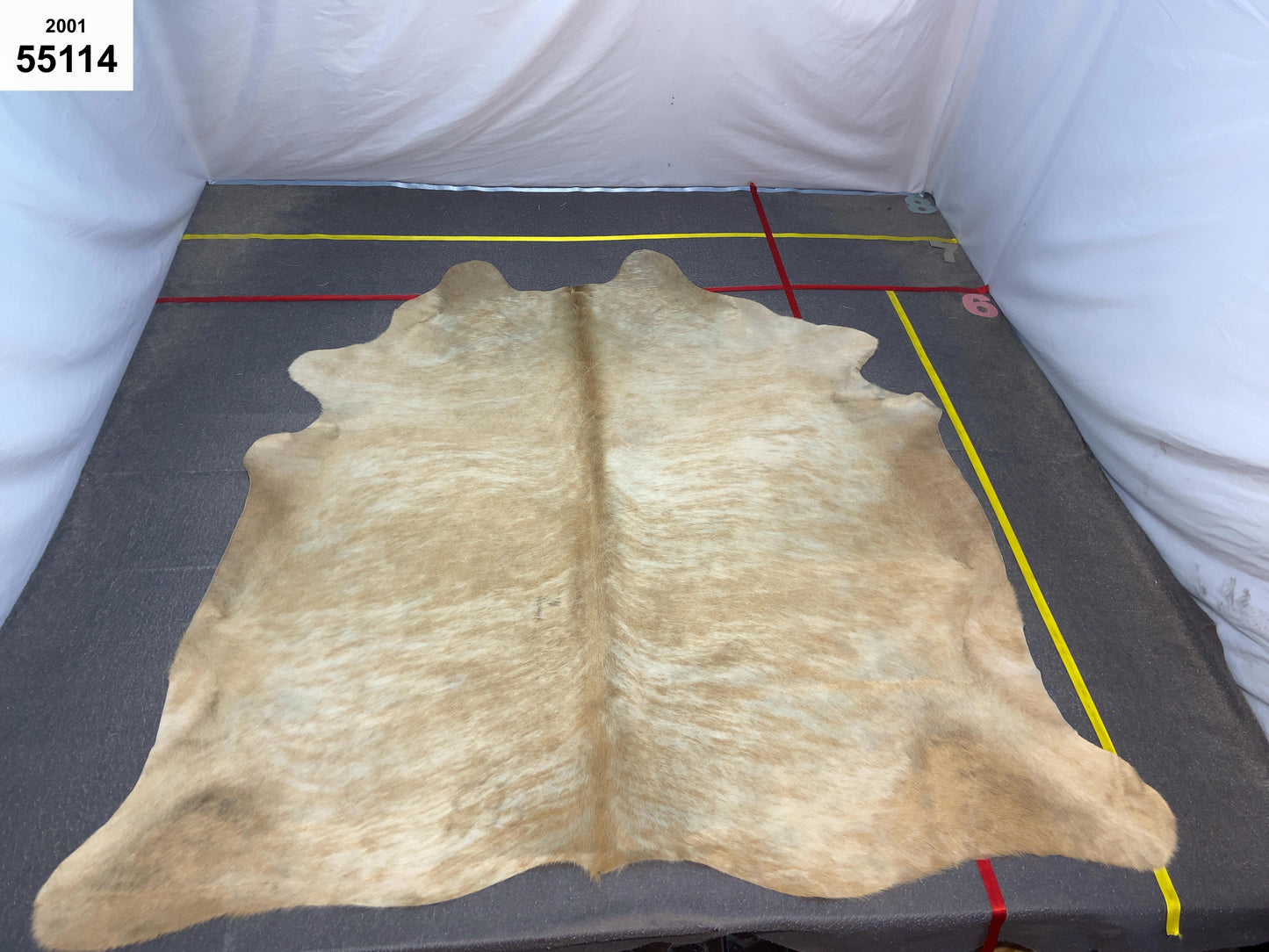 Full Cowhide – In Stock (Ready to Personalise)