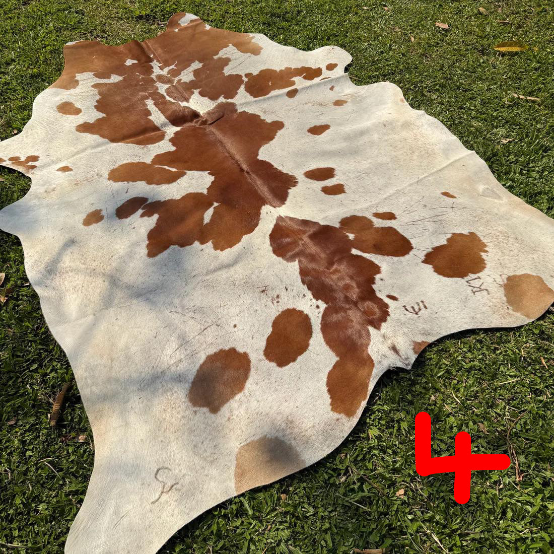 Full Cowhide – In Stock (Ready to Personalise)