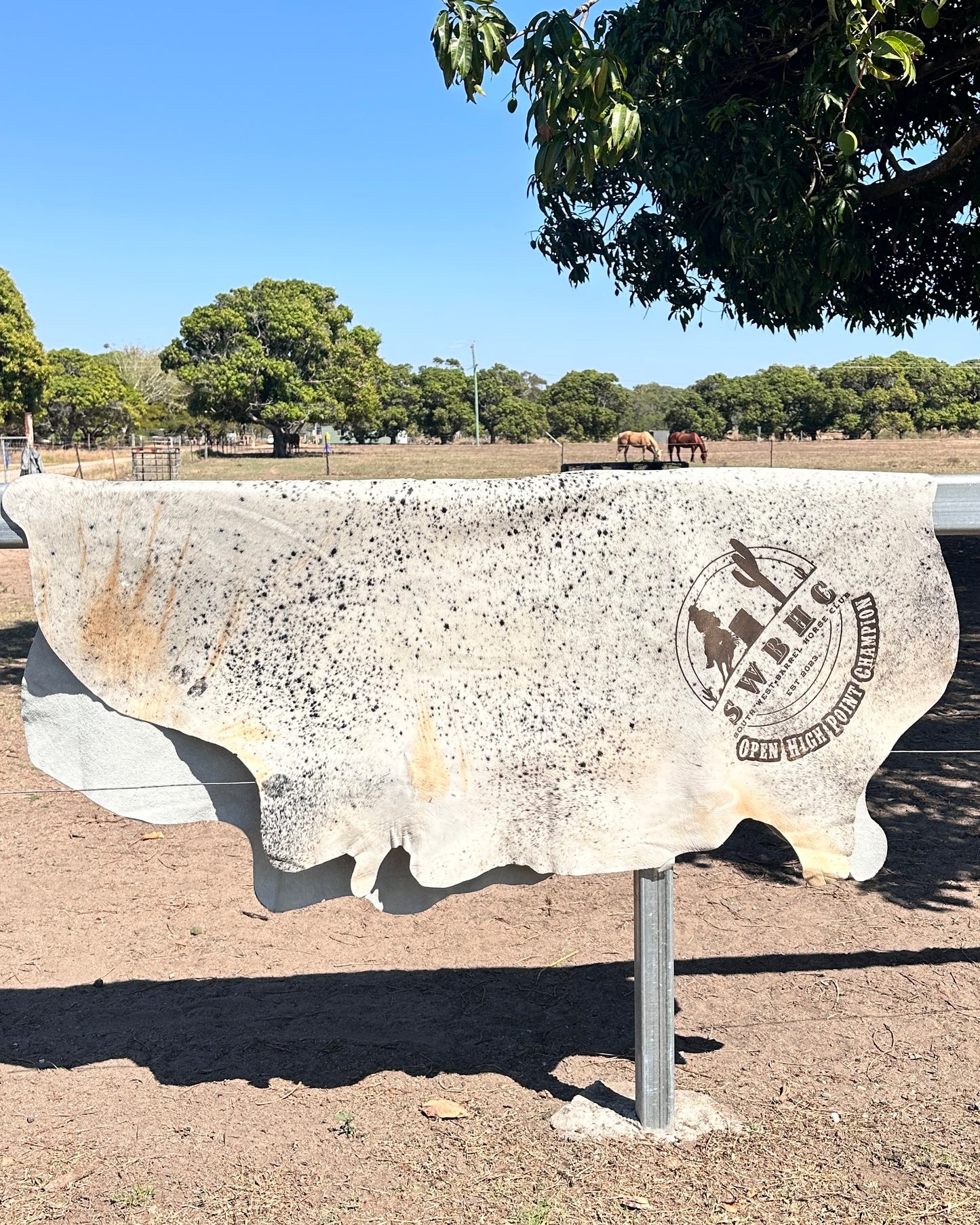 Full Cowhide – In Stock (Ready to Personalise)