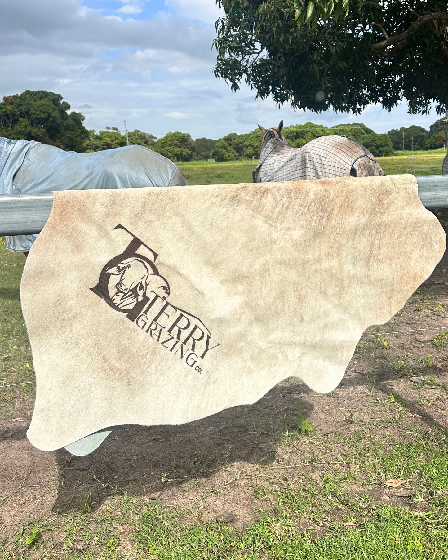 Full Cowhide – In Stock (Ready to Personalise)